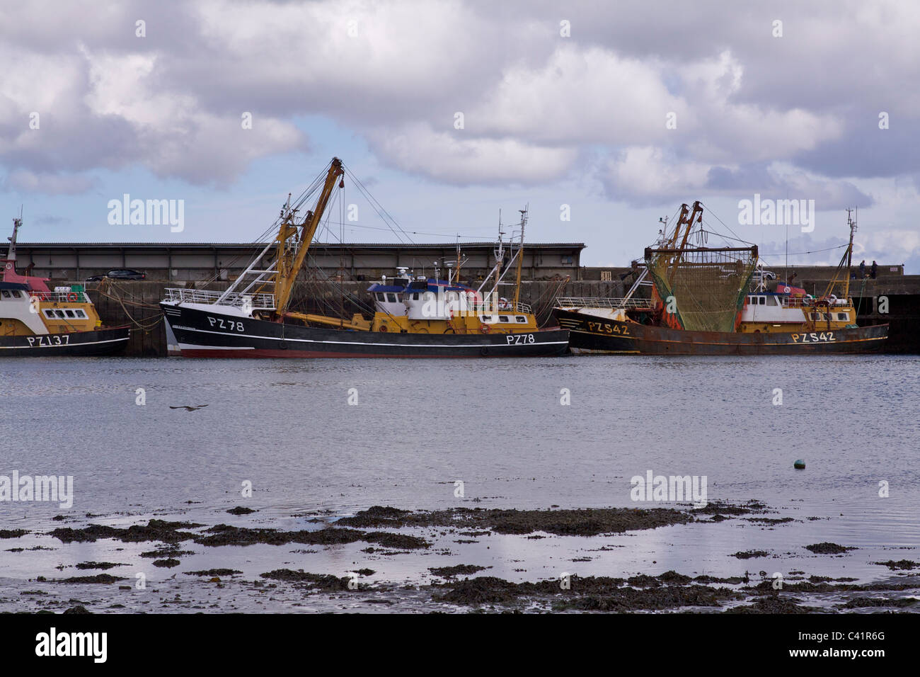 Newlyn harbour Dockside mit 3 Trawler im Besitz von W. S. Stevenson und Söhne, einer der größten Fischlieferanten Cornwalls Stockfoto
