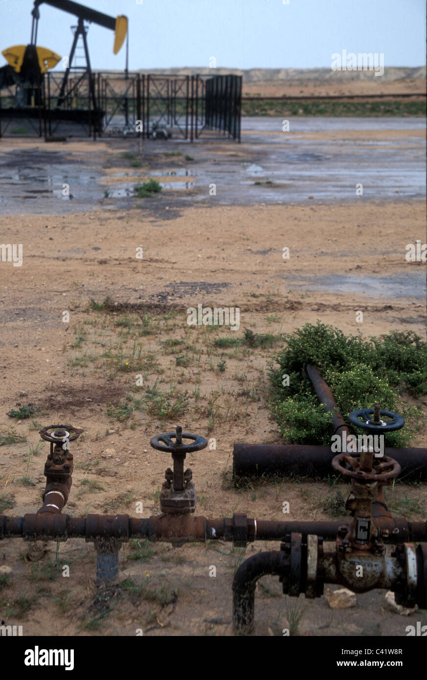 Brunnen-Kopf und Pumpen Ölfeld in Bahrain Stockfoto