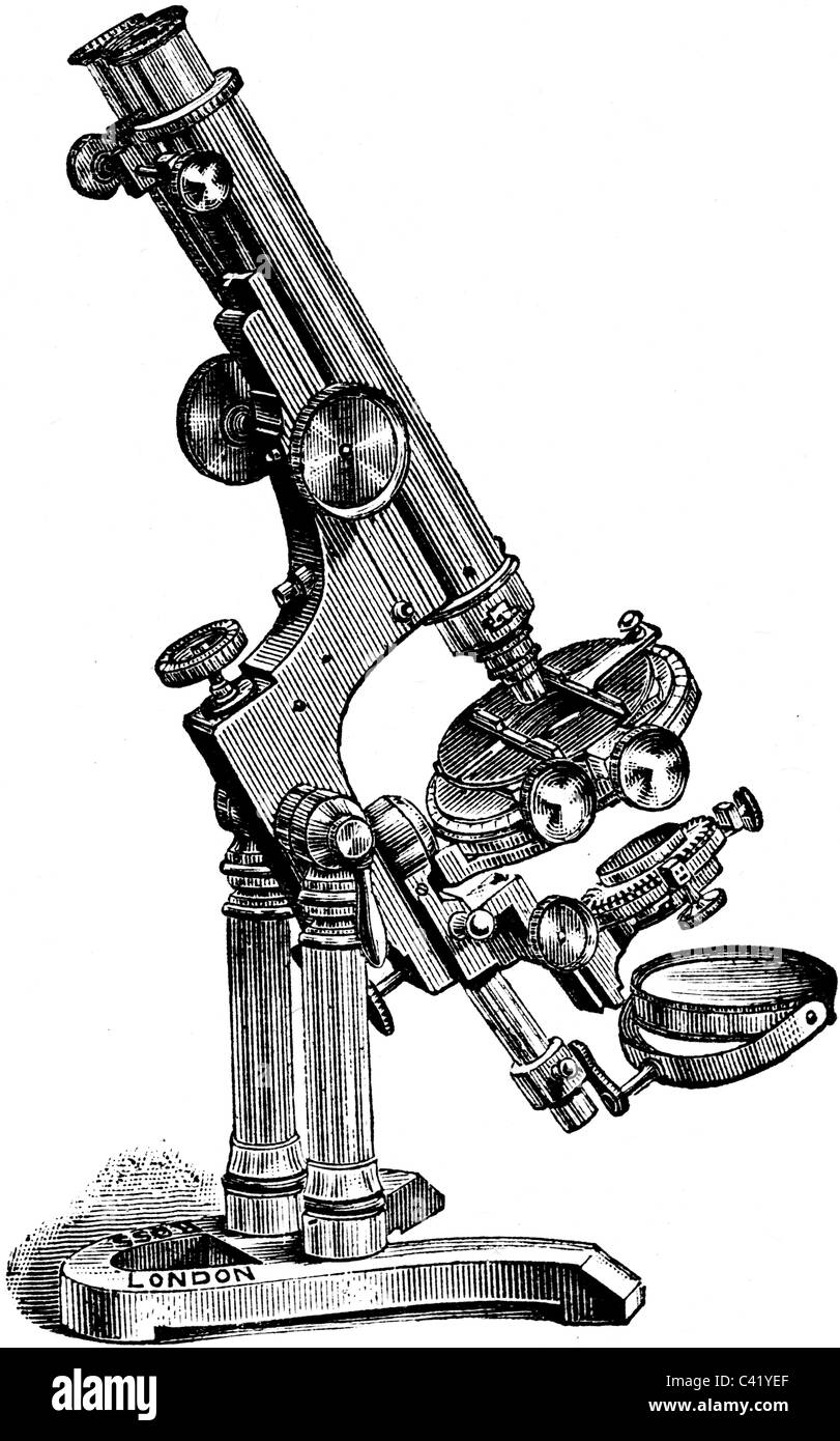 Buchillustration des 19. Jahrhunderts, 9. Ausgabe der Encyclopaedia Britannica, Compound-Mikroskops (1875) entnommen Stockfoto