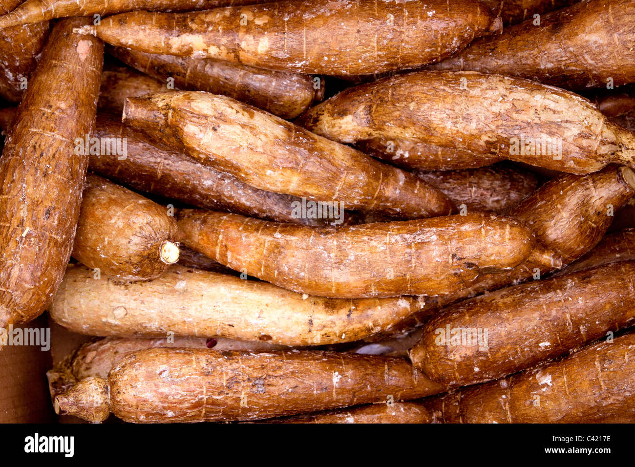 Maniok Yucca Rhizome Vegatable Essen Muster Markthintergrund Stockfoto