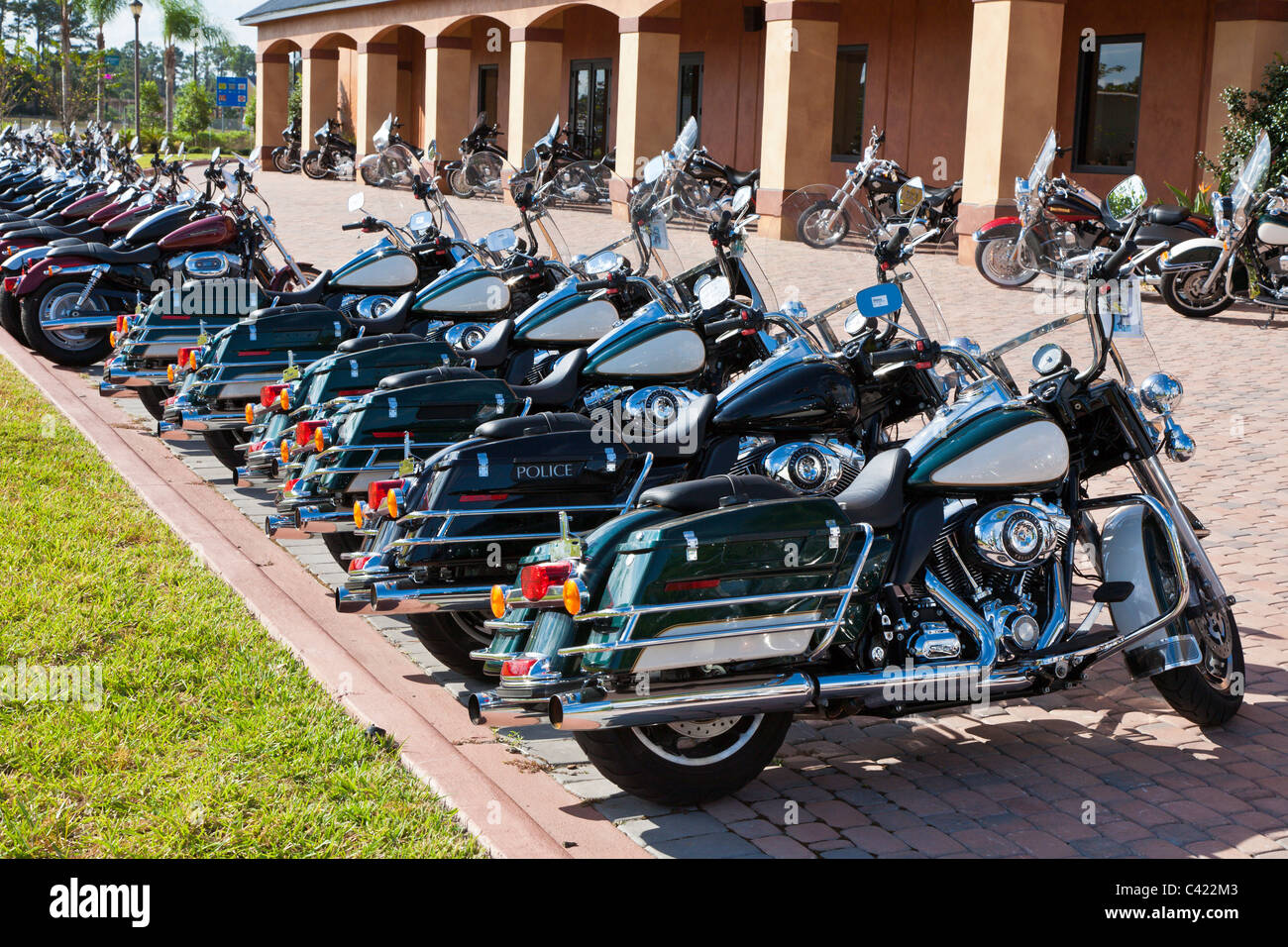 Harley Davidson Polizei-Motorräder in einer Linie zum Verkauf an Bruce Rossmeyer Harley Davidson Center in Daytona, Florida, USA Stockfoto