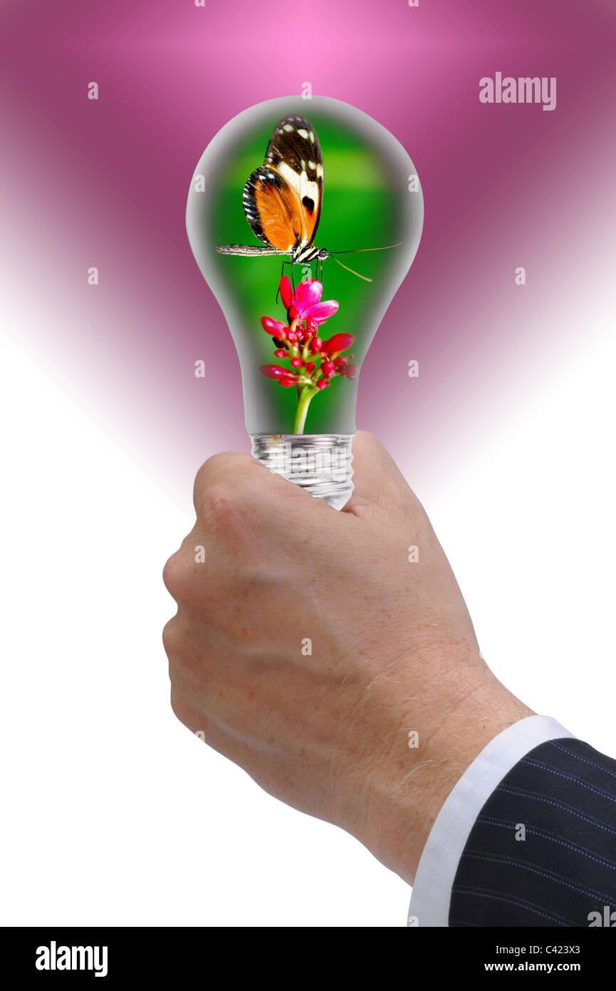 Glühbirne mit Schmetterling im Inneren. Stockfoto