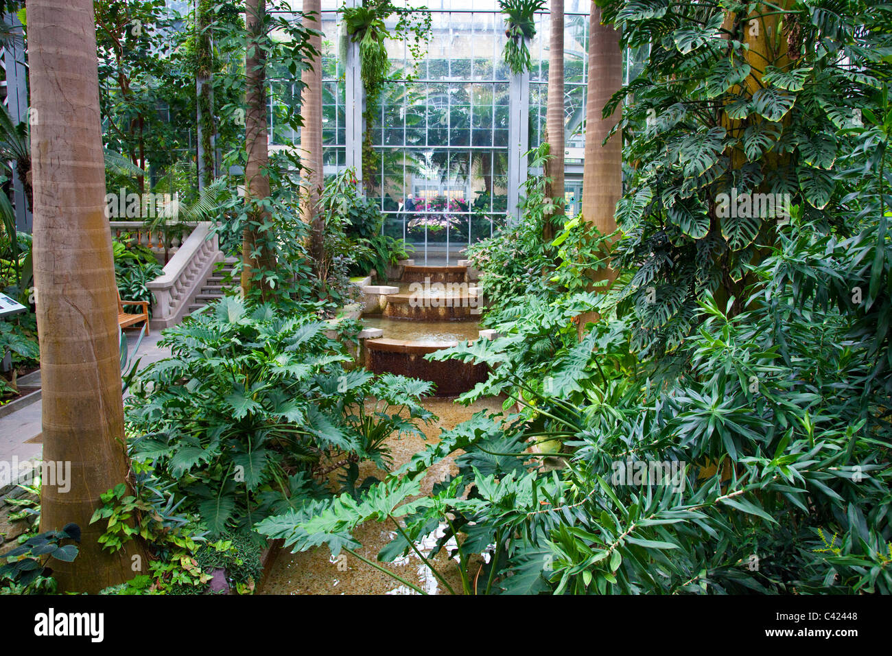 United States Botanic Garden Wintergarten, Washington DC Stockfoto