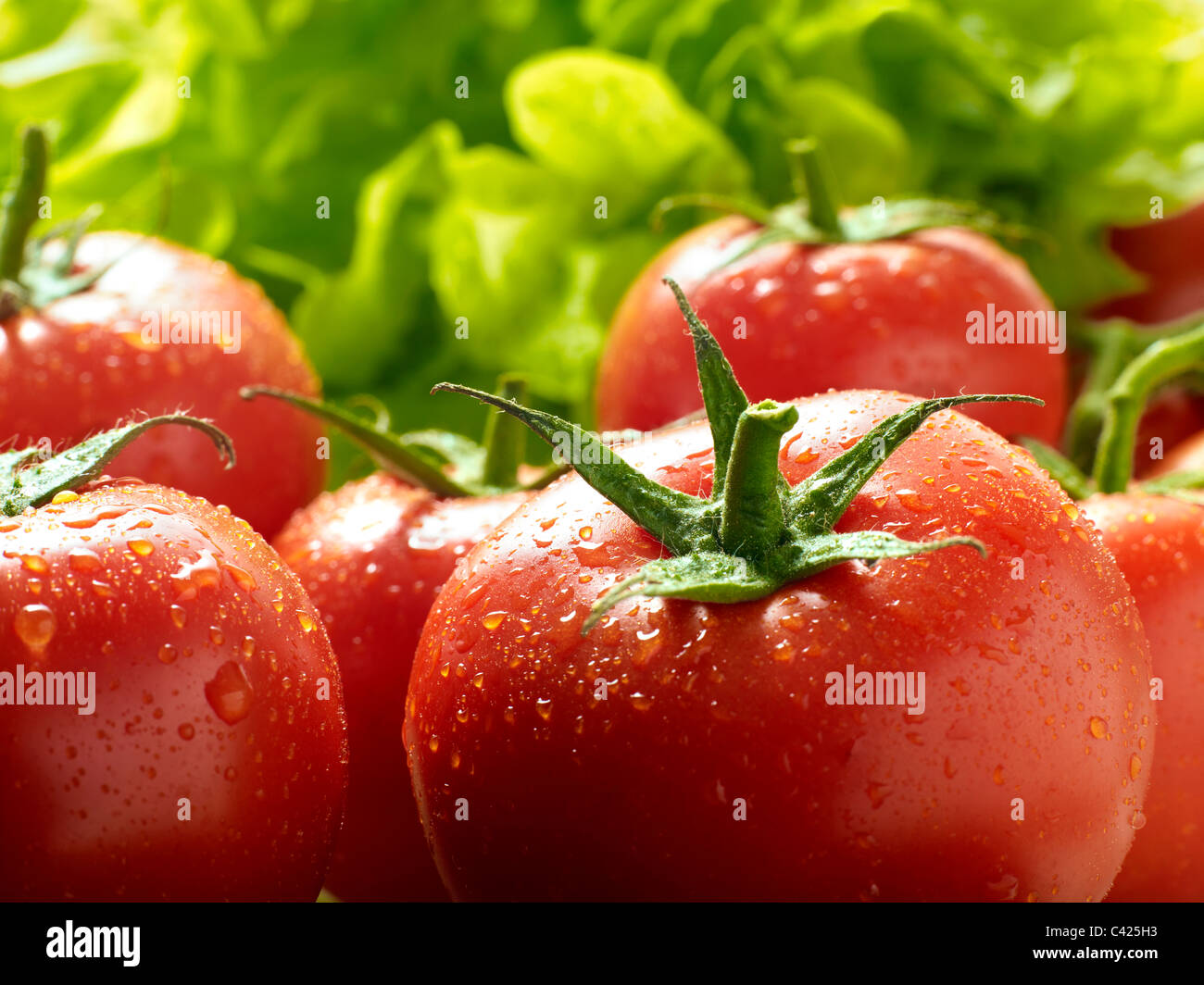 Reben gereifte Tomaten Stockfoto