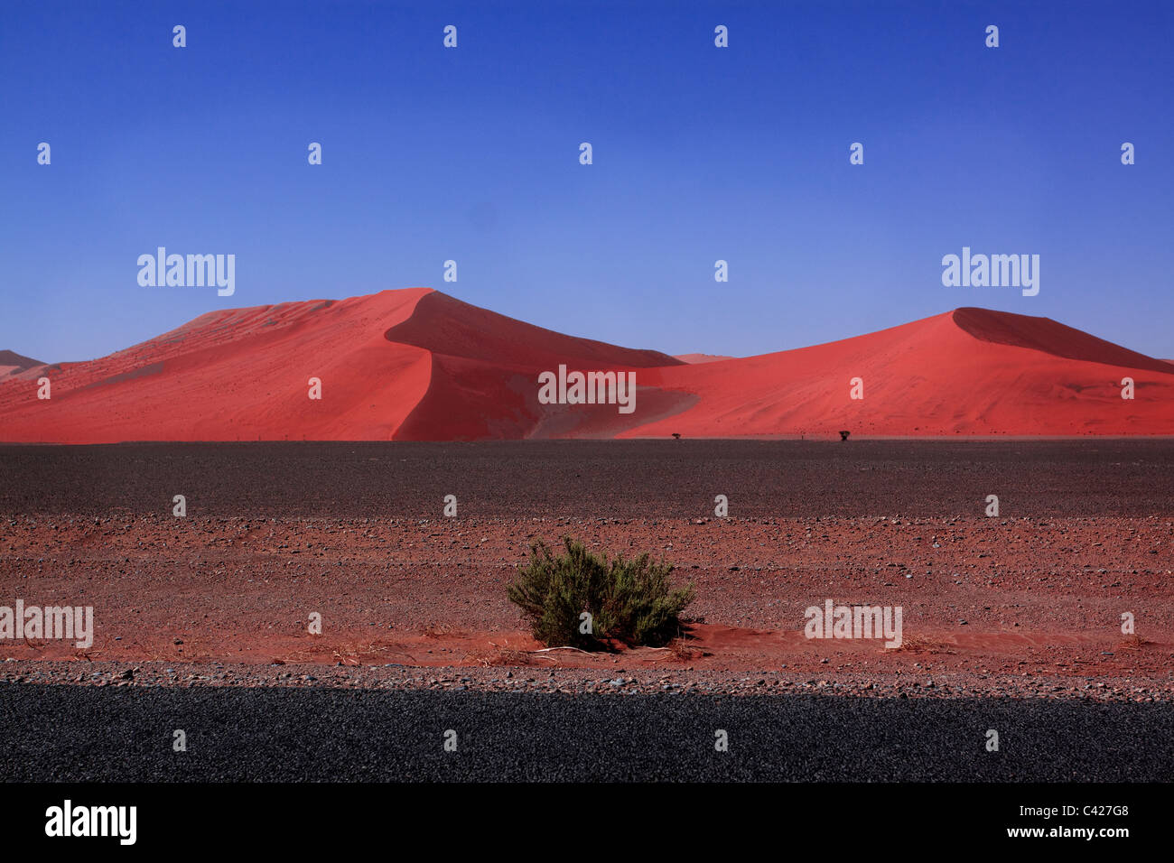 Sand Dune II Stockfoto