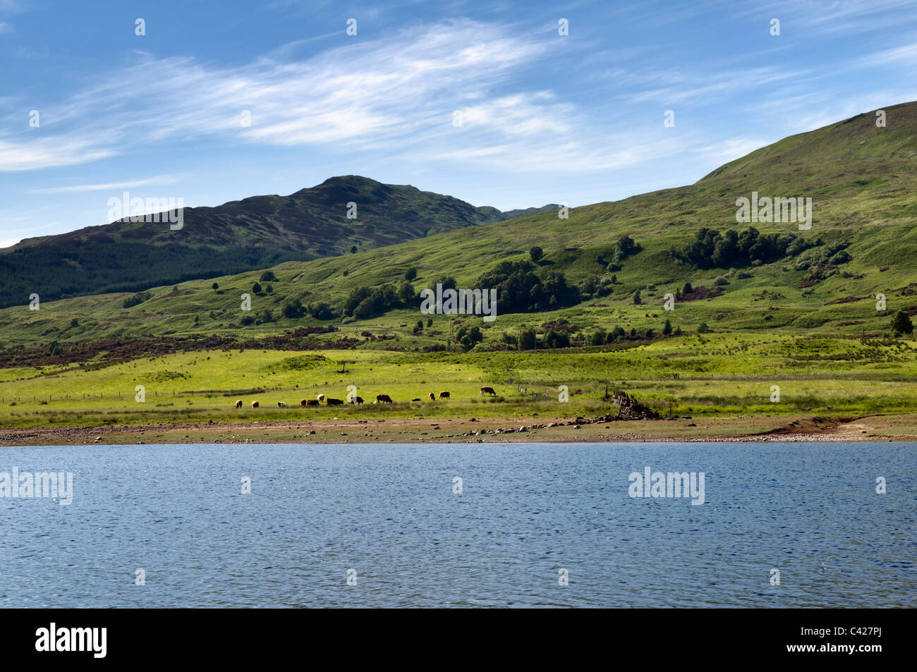 Loch Venachar, in der Nähe von Callander, Lomond und Trossachs National Park central Scotland am schönen Sommertag Stockfoto