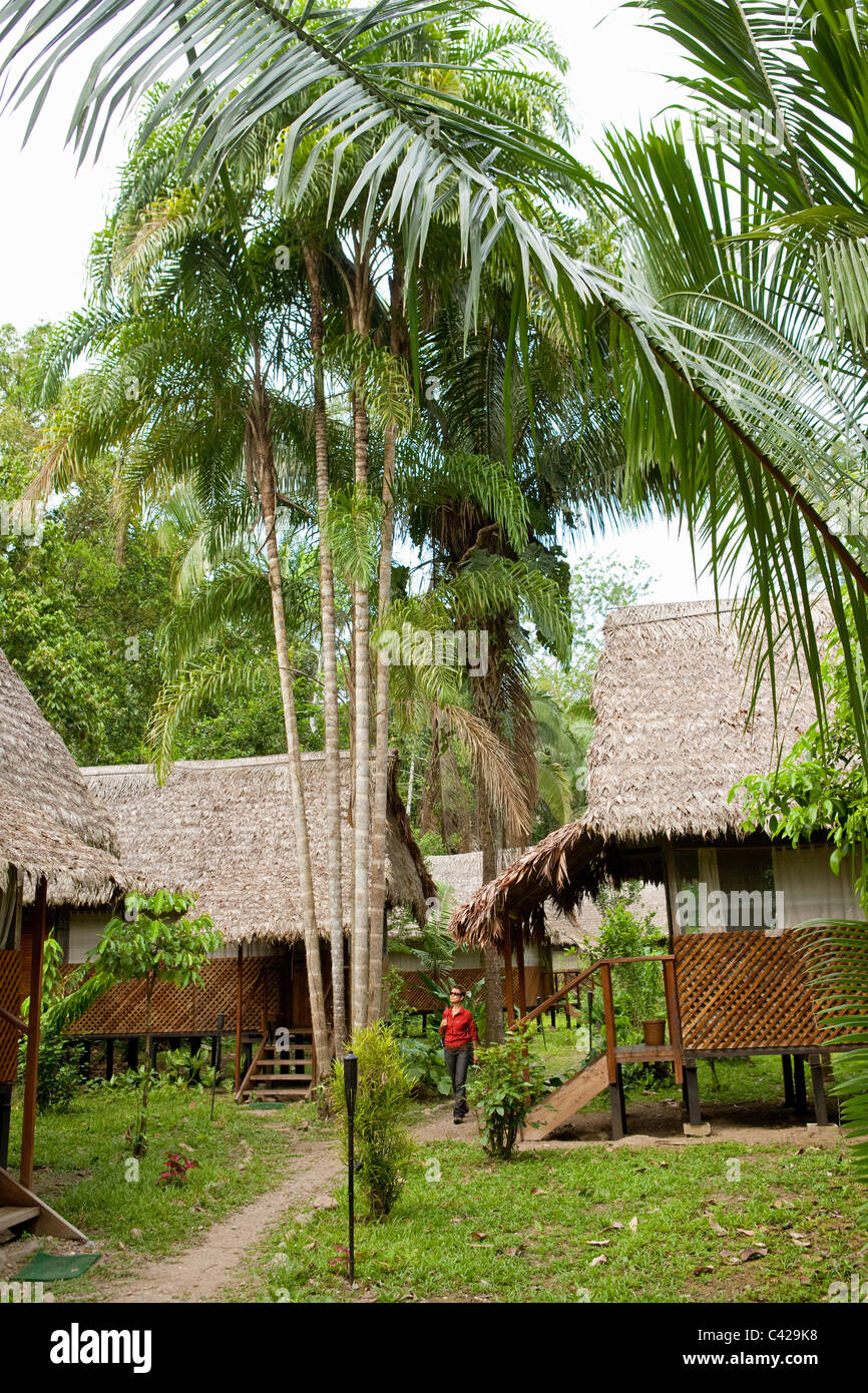 Peru, Boca Manu Manu Nationalpark Manu Wildlife Centre, Tourist im Garten. Stockfoto