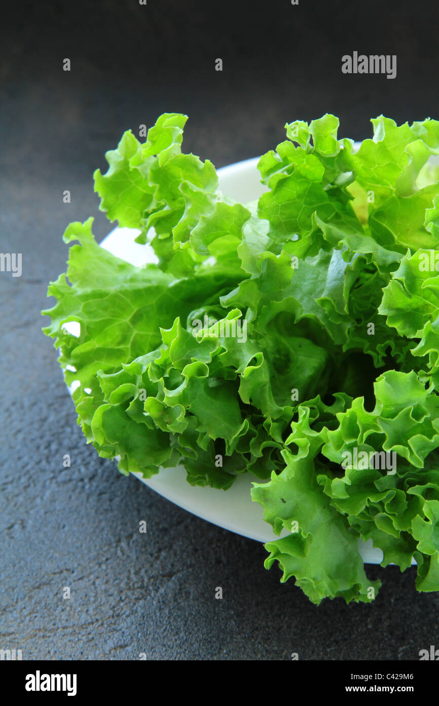 Kopfsalat, Rucola und Eisbergsalat sind drei Arten von salat ...