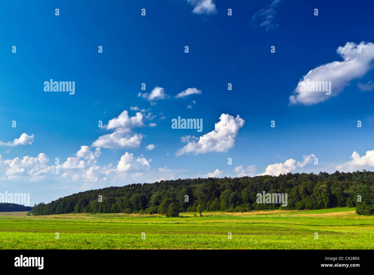 Panorama der polnischen Wälder, Felder Stockfoto