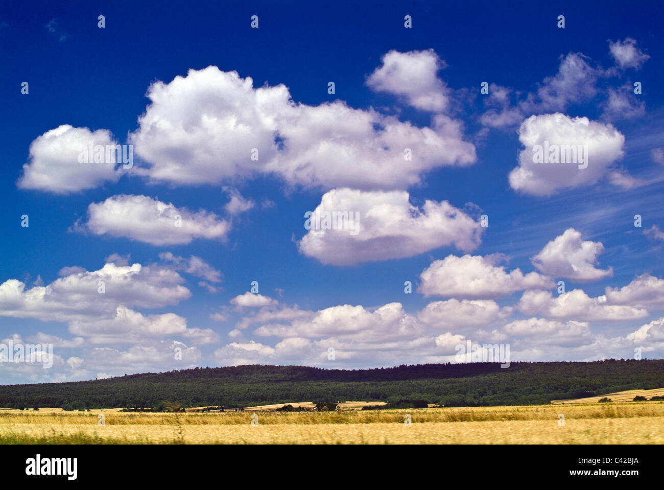 Panorama der polnischen Wälder, Felder Stockfoto