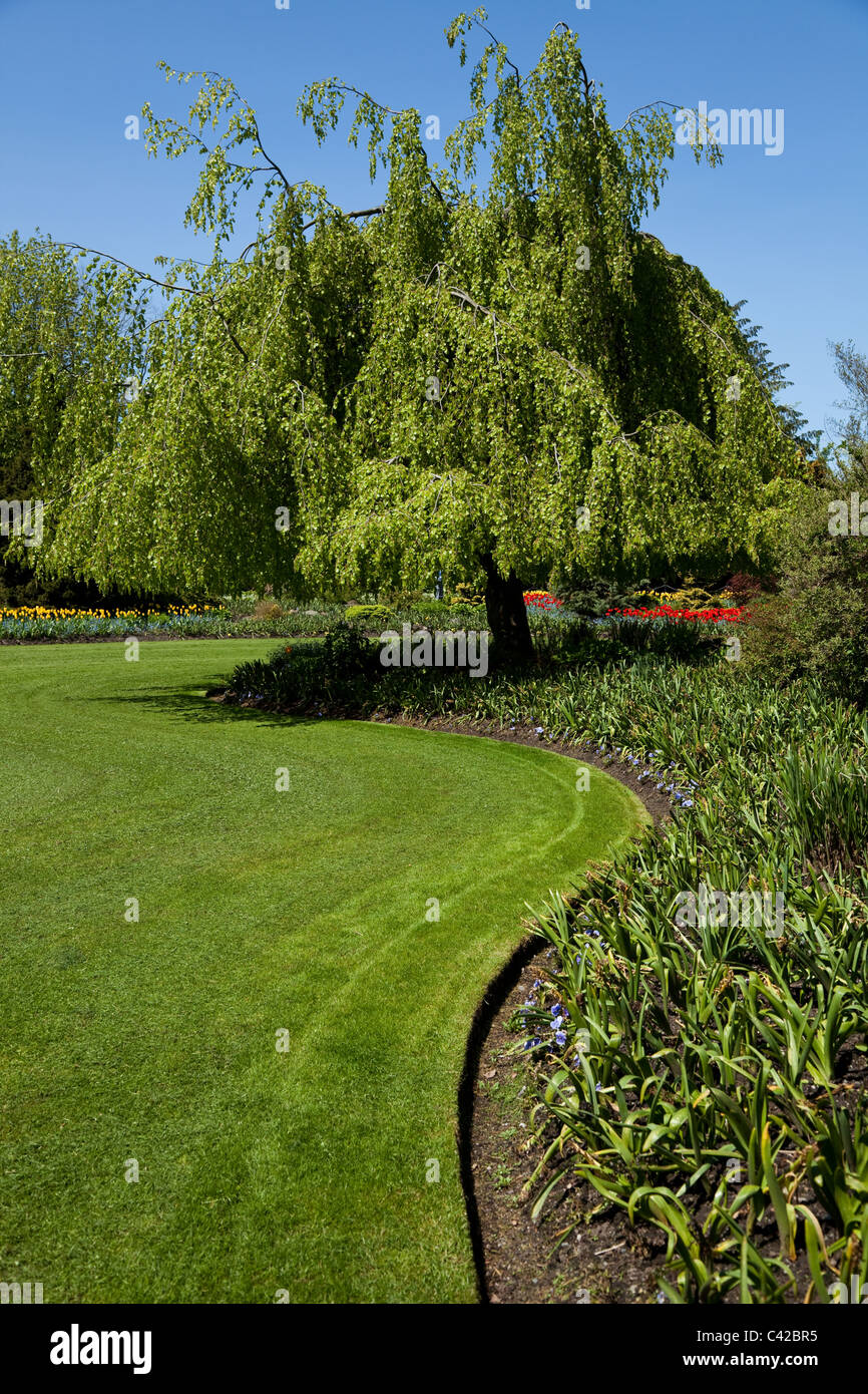 Spring Flower Garden für Hintergrund Stockfoto