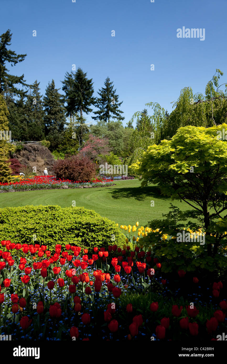 Spring Flower Garden für Hintergrund Stockfoto