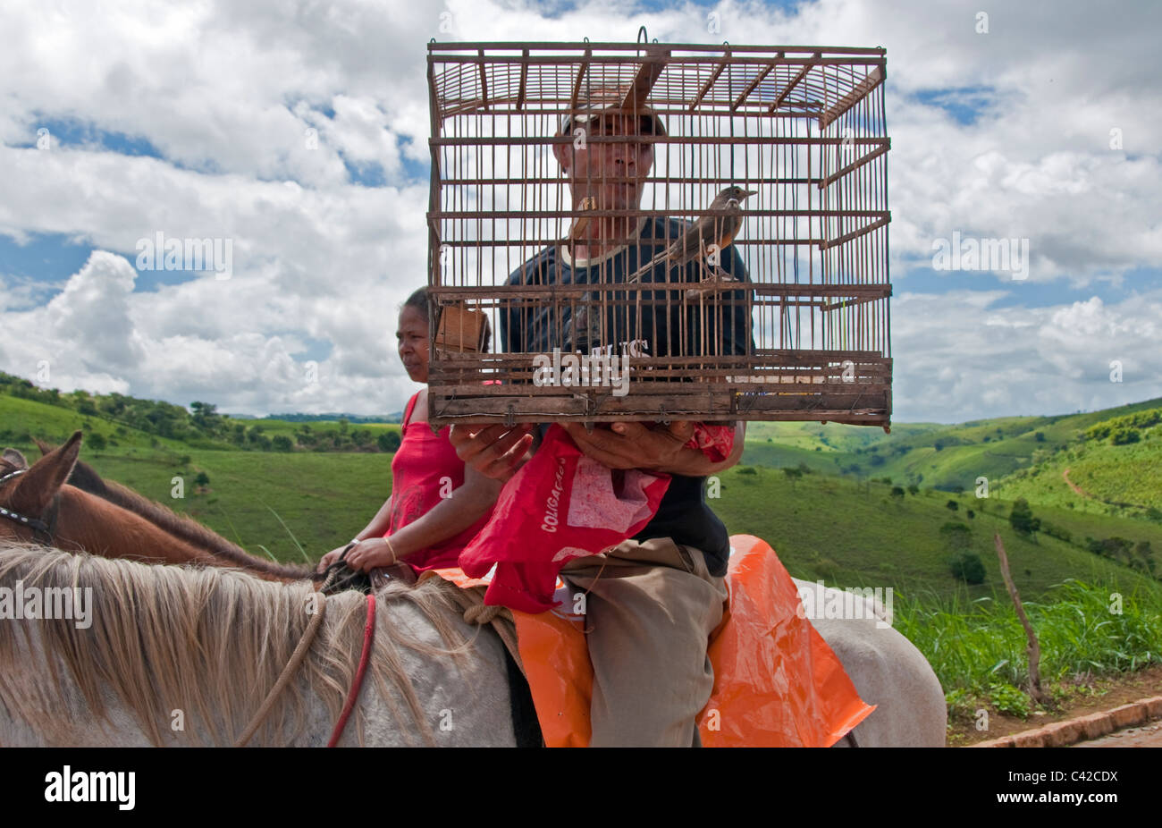 Dorf von Sao Benedito Do Sul im Nordosten Brasiliens, Pernambuco Stockfoto