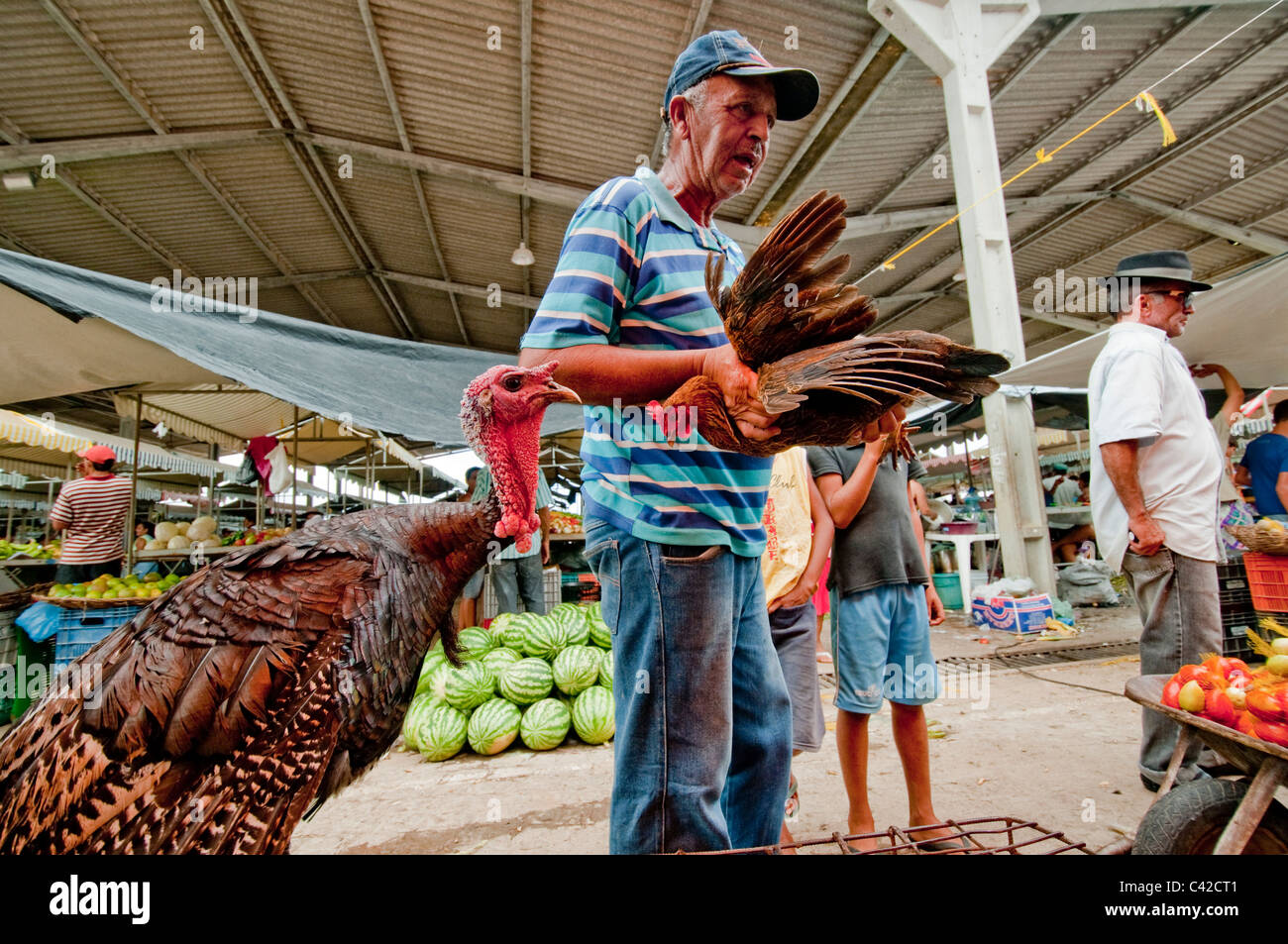 Markt am Caninde in der Nähe von Piranhas im Nordosten Brasiliens Algoas Stockfoto