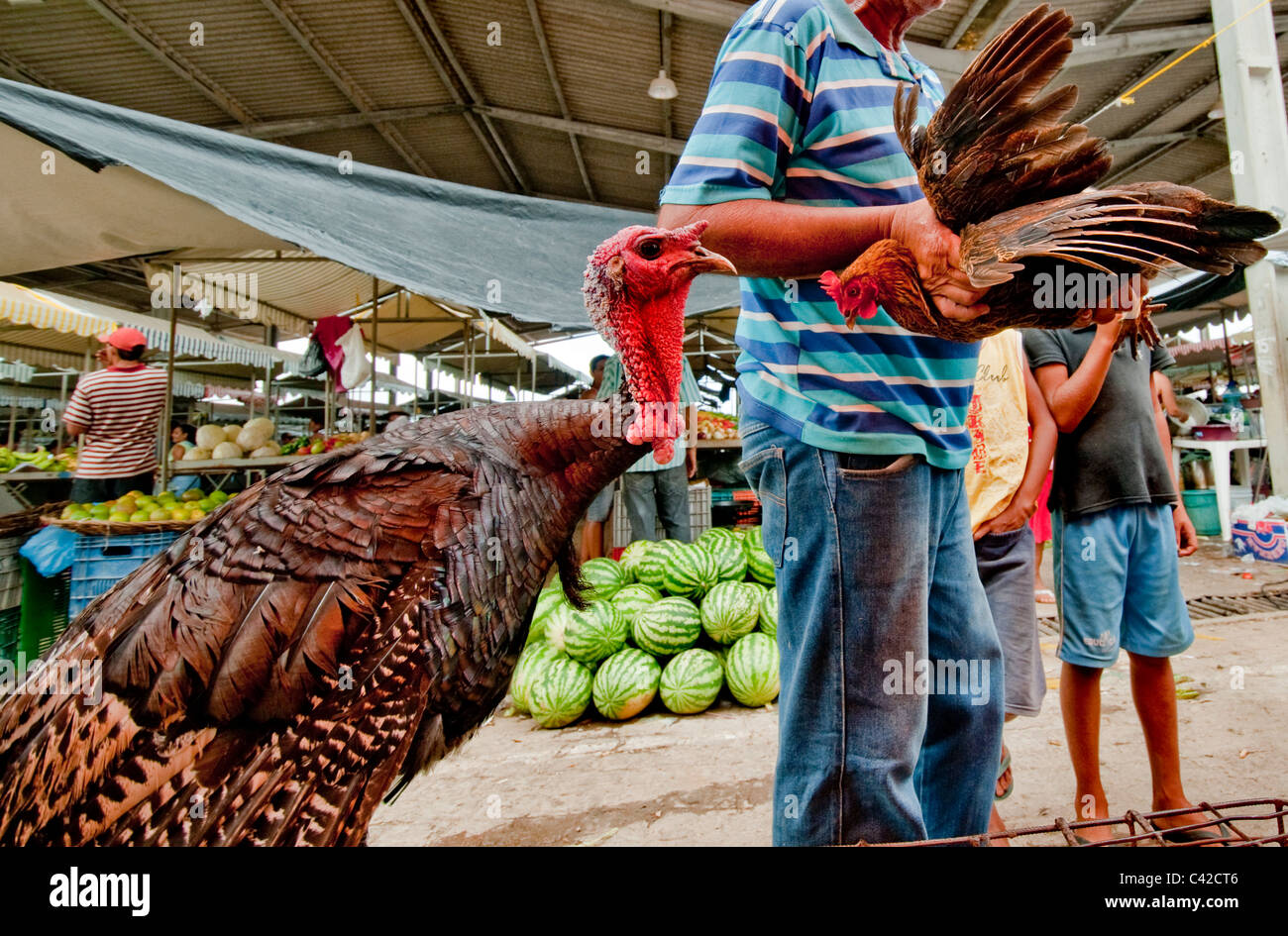 Markt am Caninde in der Nähe von Piranhas im Nordosten Brasiliens Algoas Stockfoto