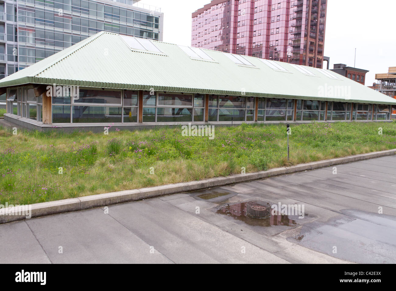 nachhaltige Dachbegrünung Top-Stadt Stockfoto