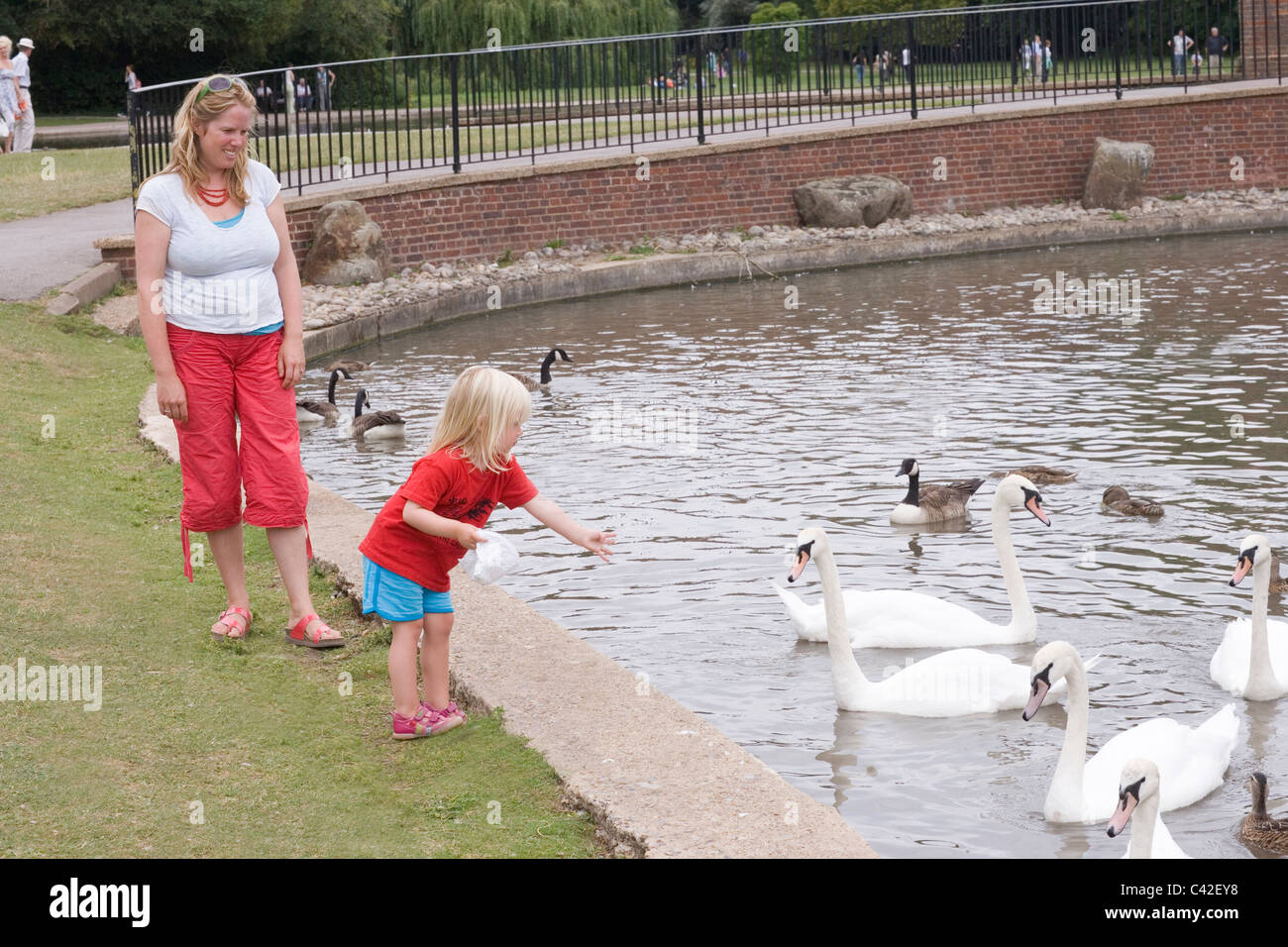 Mutter und Kind, die Fütterung von Wasservögeln. Verulamium Park See, St Albans, Hertfordshire, England. Stockfoto