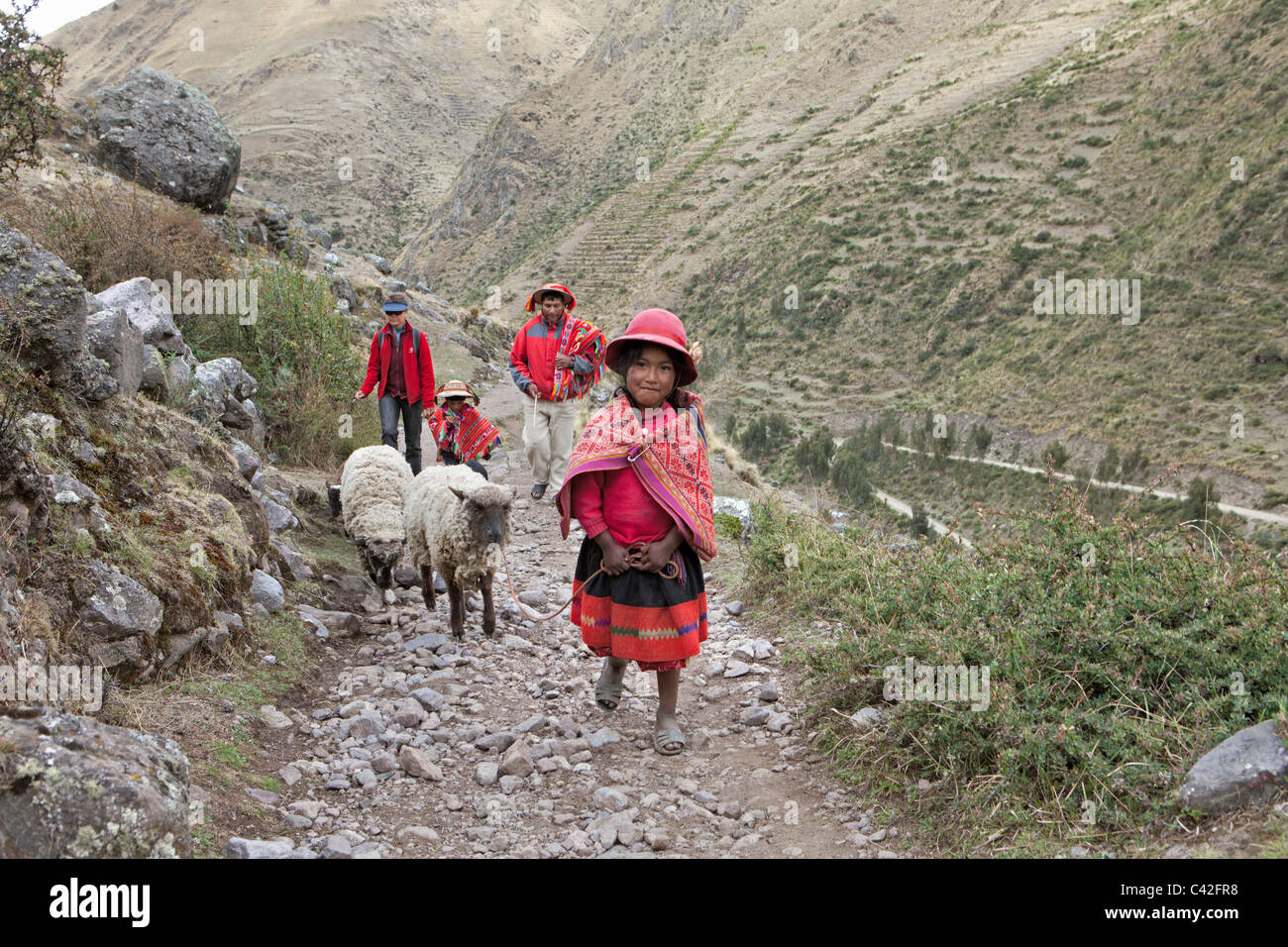 Dorf in der Nähe von Ollantaytambo. Indische Mädchen und jungen in Tracht zusammen mit Frau, Tourist, Schafe hüten. Stockfoto