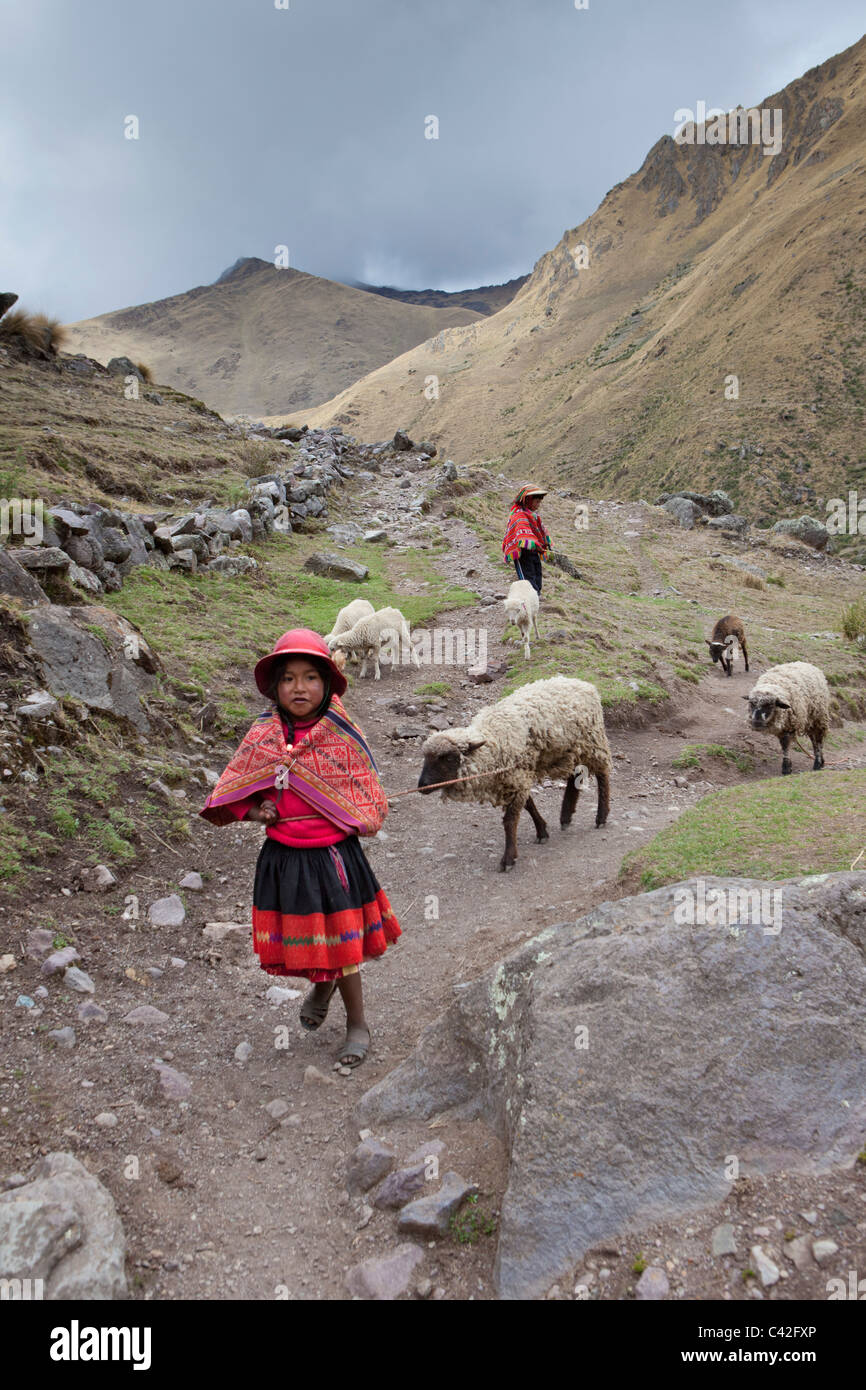 Peru, Patakancha, Patacancha, Dorf in der Nähe von Ollantaytambo. Indischen Jungen und Mädchen in Tracht, die Schafe hüten. Stockfoto