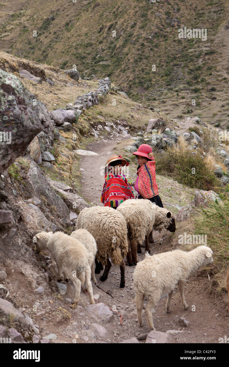 Peru, Patakancha, Patacancha, Dorf in der Nähe von Ollantaytambo. Indischen Jungen und Mädchen in Tracht, die Schafe hüten. Stockfoto