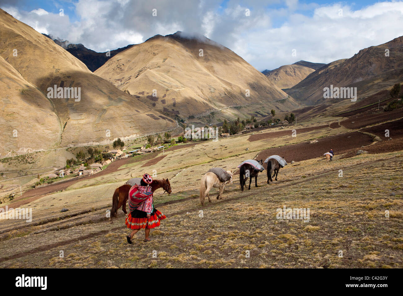Peru, Patakancha, Patacancha, Dorf in der Nähe von Ollantaytambo. Indische Frau in traditioneller Kleidung, die Transport von Gütern mit Pferd. Stockfoto