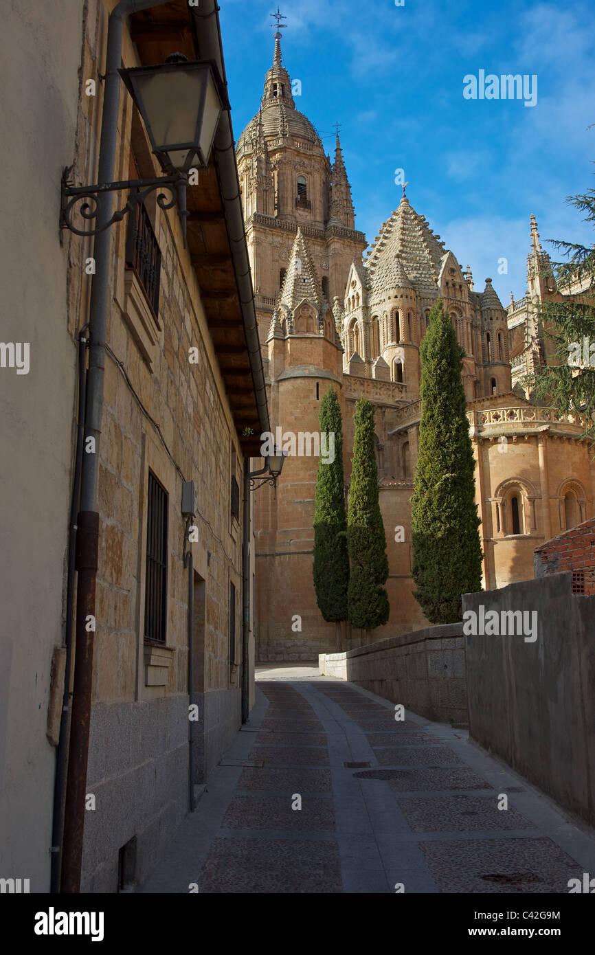 Alte Kathedrale Kathedrale von Salamanca / Vieja Catedral de Salamanca Stockfoto