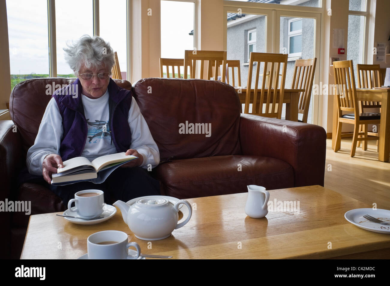 Ältere Frau alleine sitzen auf einem bequemen Sessel mit einem Buch in Braewick Cafe mit Tassen Tee und einer Teekanne auf einem Tisch vor. Shetland Schottland Großbritannien Stockfoto