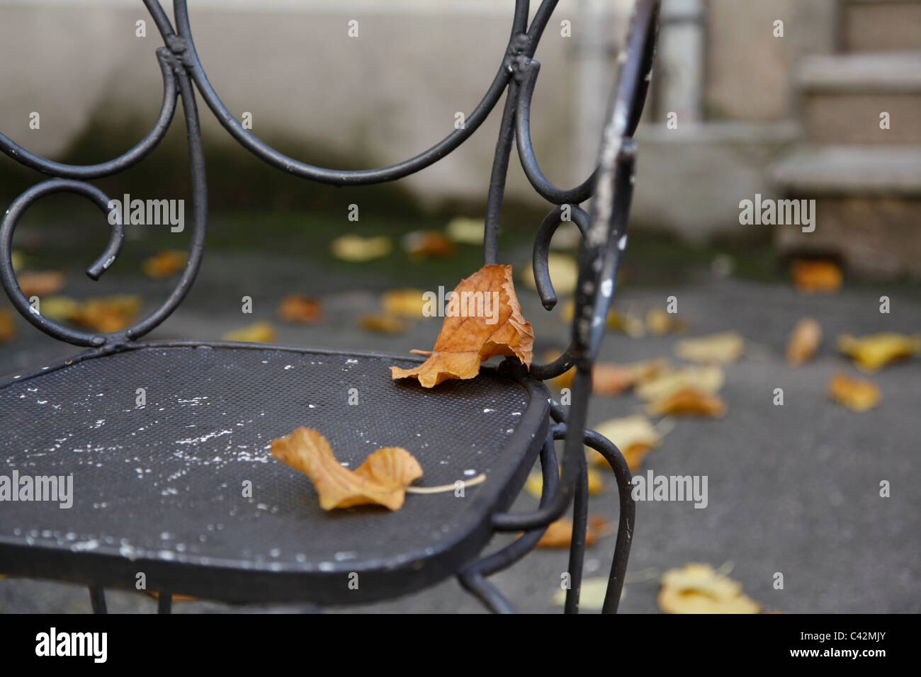 Eine Nahaufnahme von einem eisernen Stuhl mit zwei trockenen gefallen gelbe Blätter und einige Blätter mehr verschwommen im Hintergrund Stockfoto