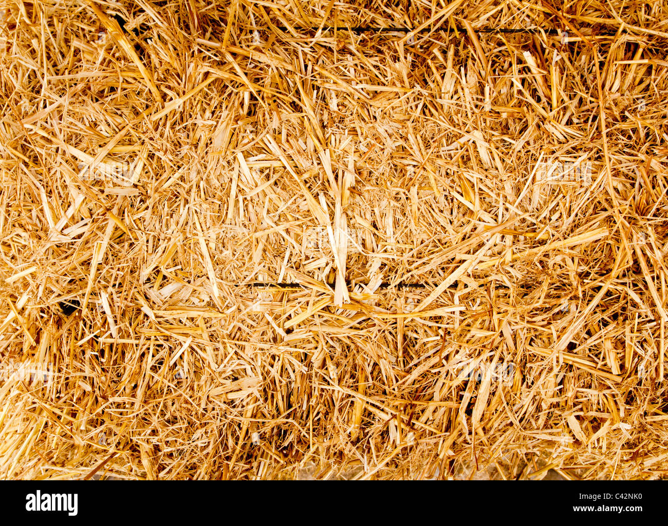 Goldene Ballen Stroh Textur Wiederkäuer tierische Nahrung Hintergrund Stockfoto