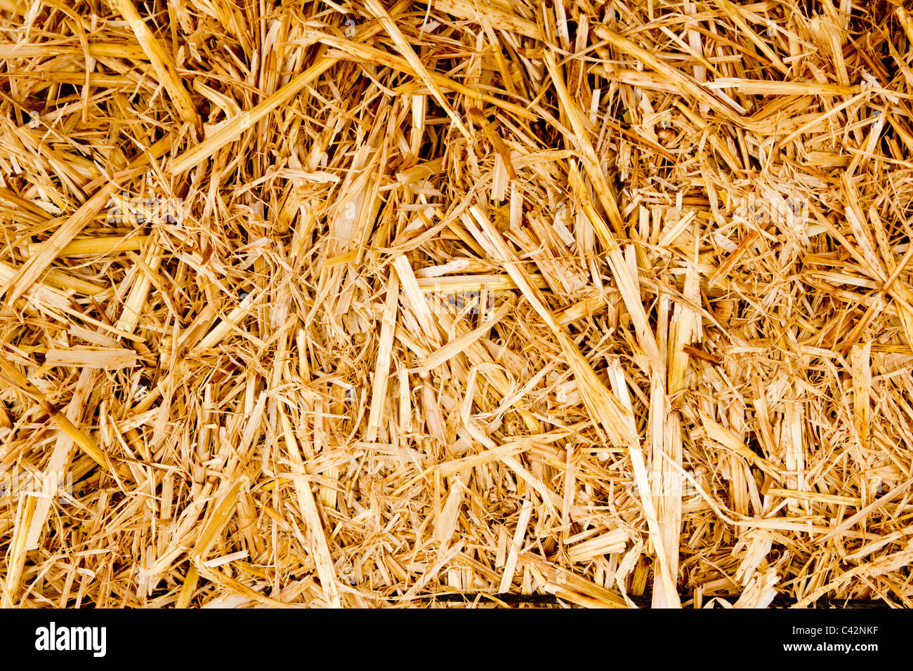 Goldene Ballen Stroh Textur Wiederkäuer tierische Nahrung Hintergrund Stockfoto