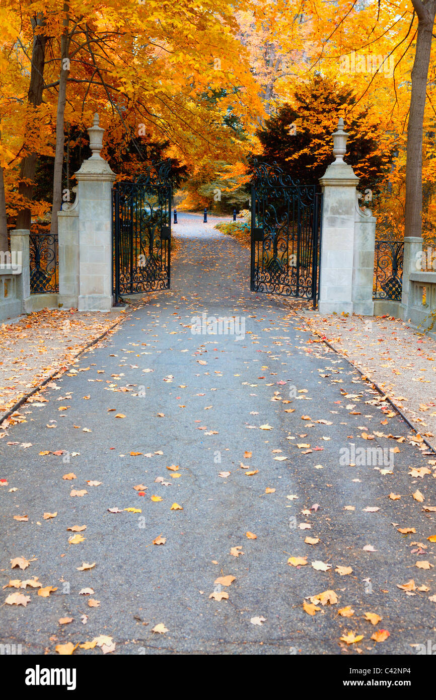 Herbst-park Stockfoto