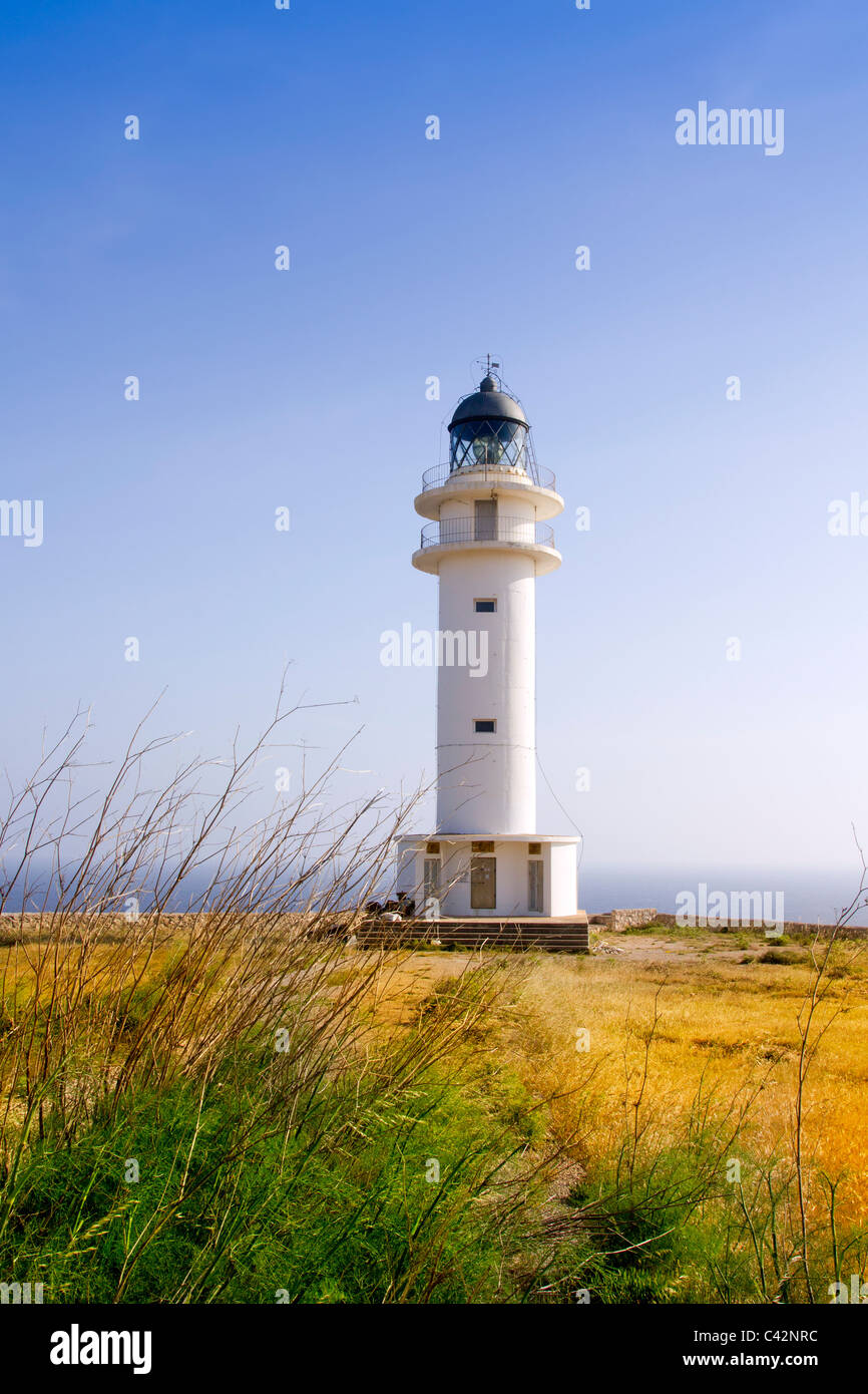 Barbaria Leuchtturm Cape Formentera Balearen im goldenen Rasen Wiese blauer Himmel Stockfoto