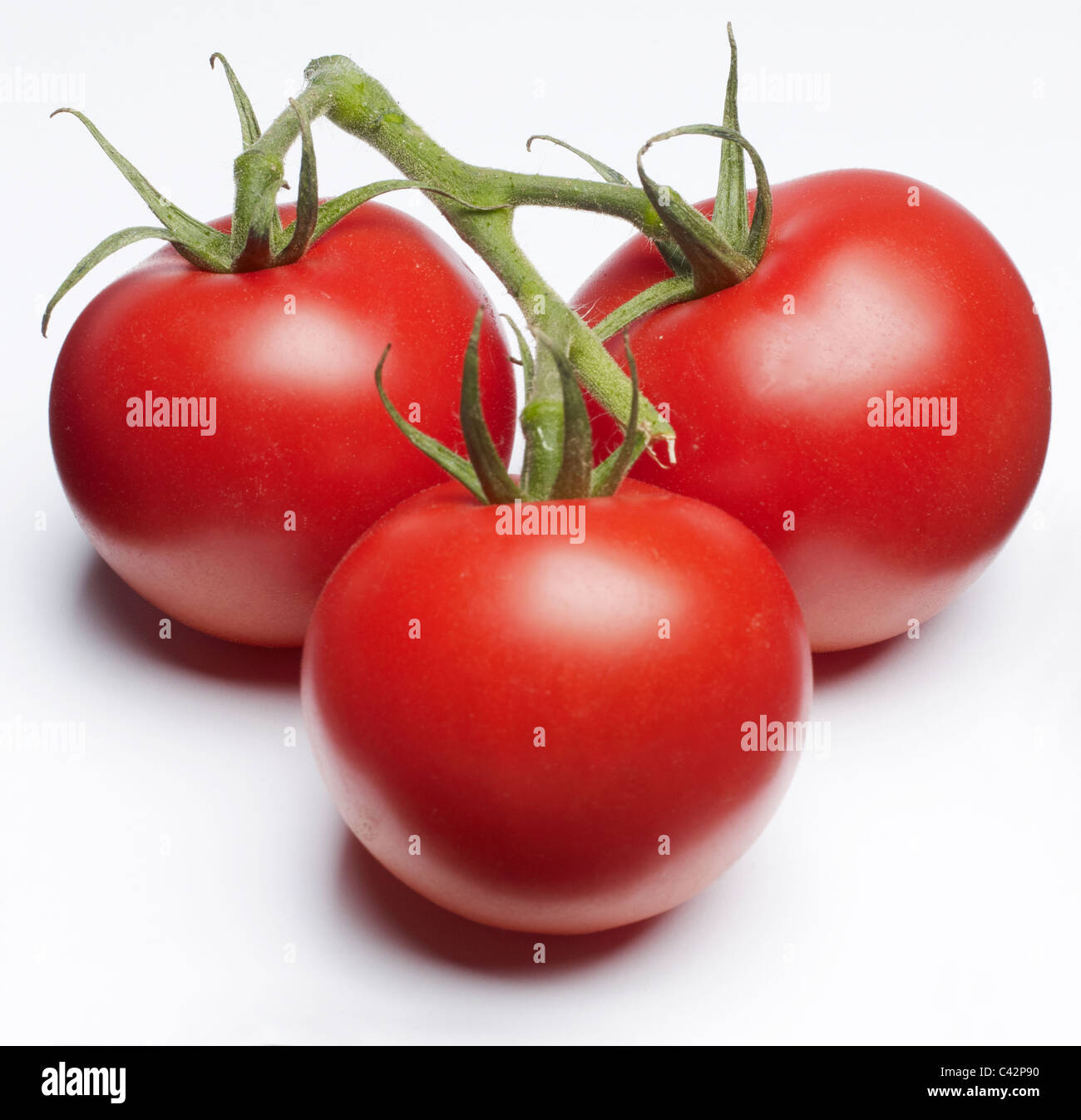 Drei Tomaten auf einem Weinstock auf weißem Hintergrund Stockfoto