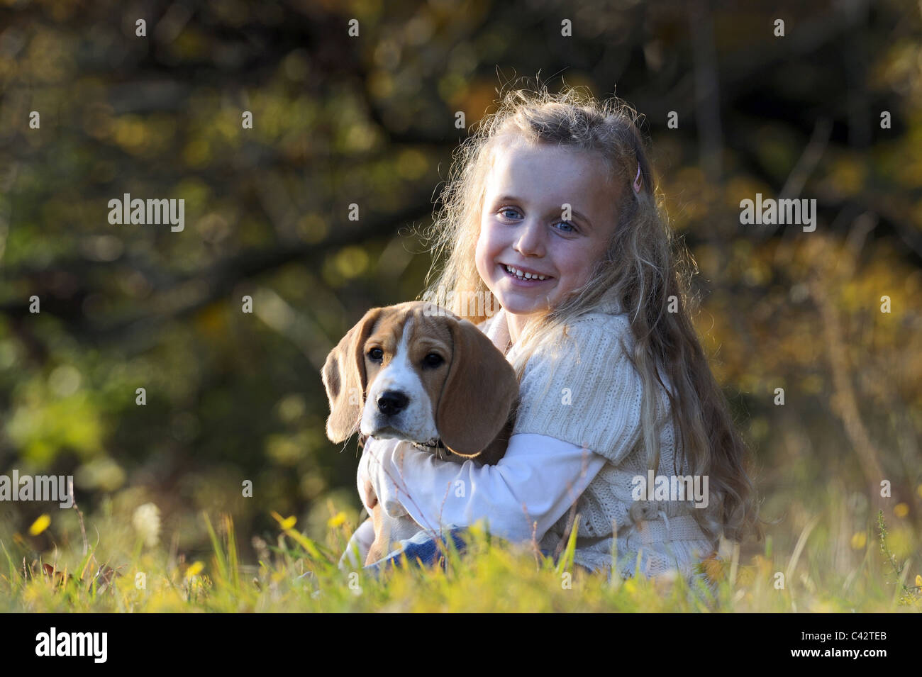 Beagle (Canis Lupus Familiaris). Kleines Mädchen mit einem Welpen auf dem Arm sitzen auf einer Wiese. Deutschland. Stockfoto