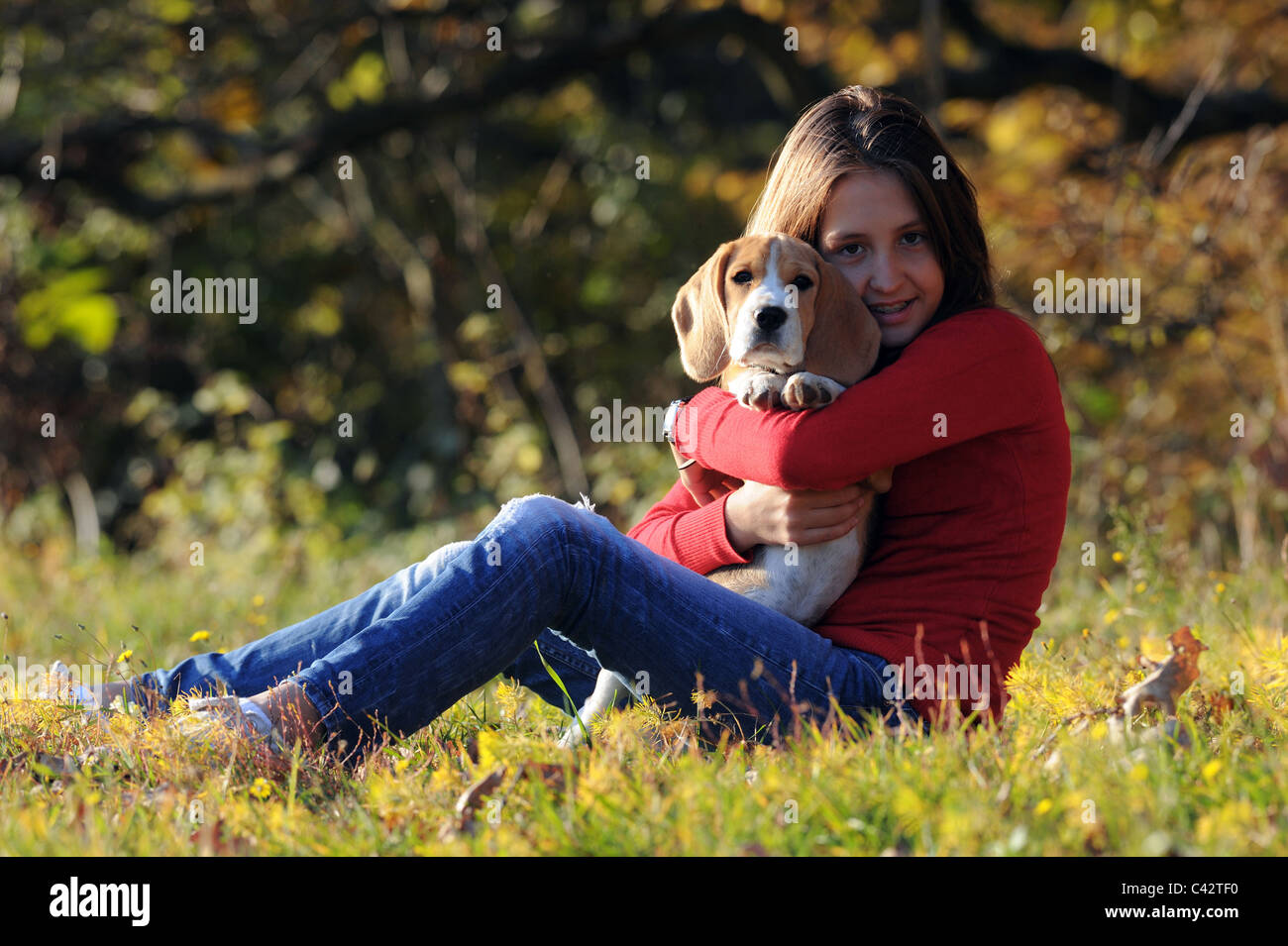 Beagle (Canis Lupus Familiaris). Mädchen mit einem Hund auf dem Arm sitzen auf einer Wiese. Deutschland. Stockfoto