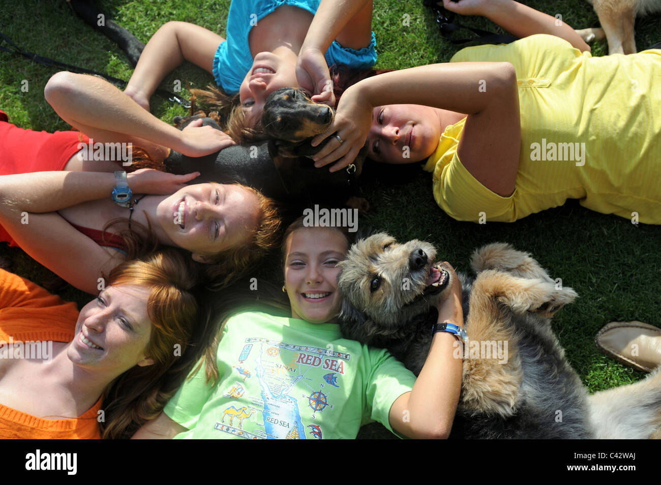 Gruppe von lächelnden Frauen mit zwei Hunden, auf einer Wiese liegen. Deutschland. Stockfoto