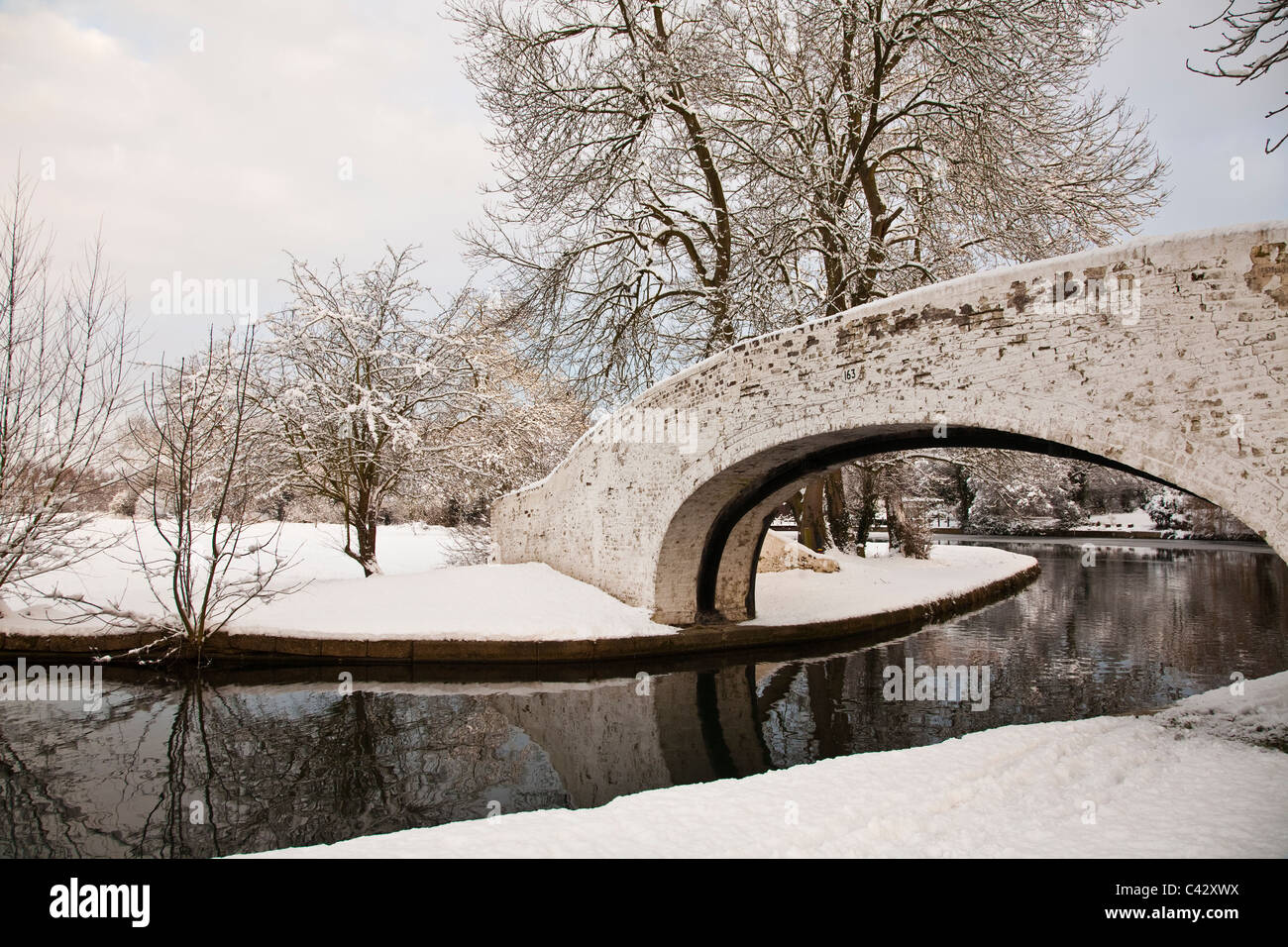 Winter-Schnee-Szene im Grove Stockfoto