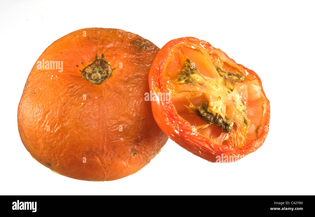 Alte verdorbene rote Tomaten Stockfoto