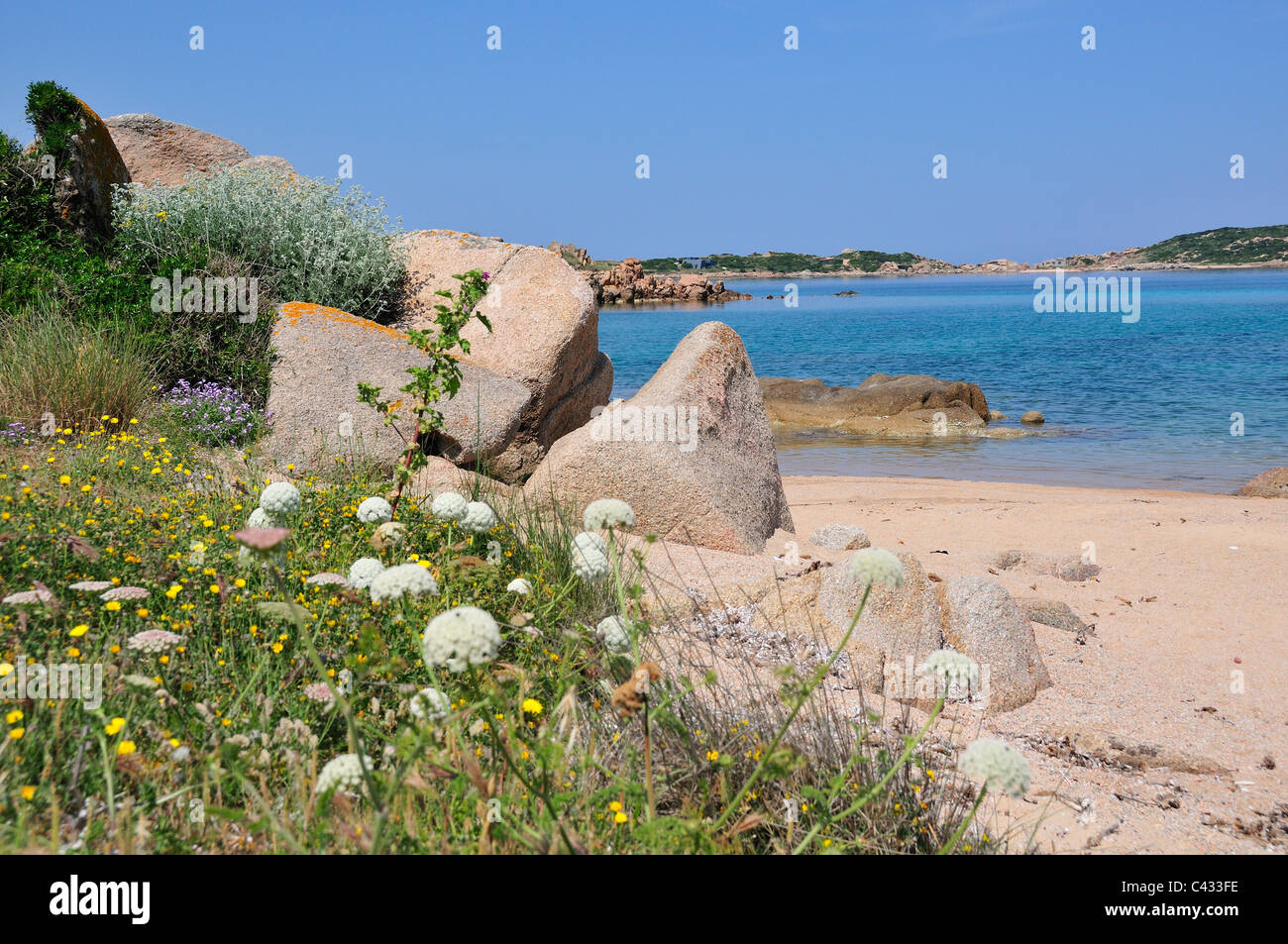 Typische Bucht und Strand mit Felsen und Blumen am nördlichen Ende der Insel Maddalena, Archipel Maddalena, Sardinien, Italien Stockfoto