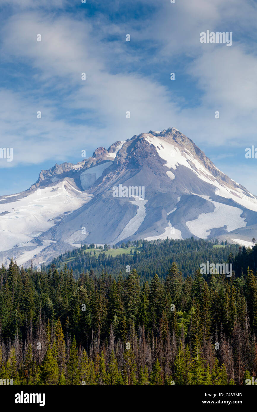 Ostseite des Mount Hood, Oregon USA Stockfoto