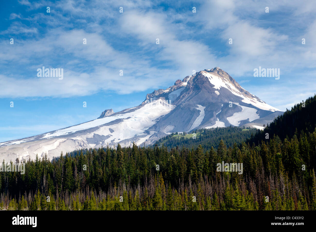 Ostseite des Mount Hood, Oregon USA Stockfoto