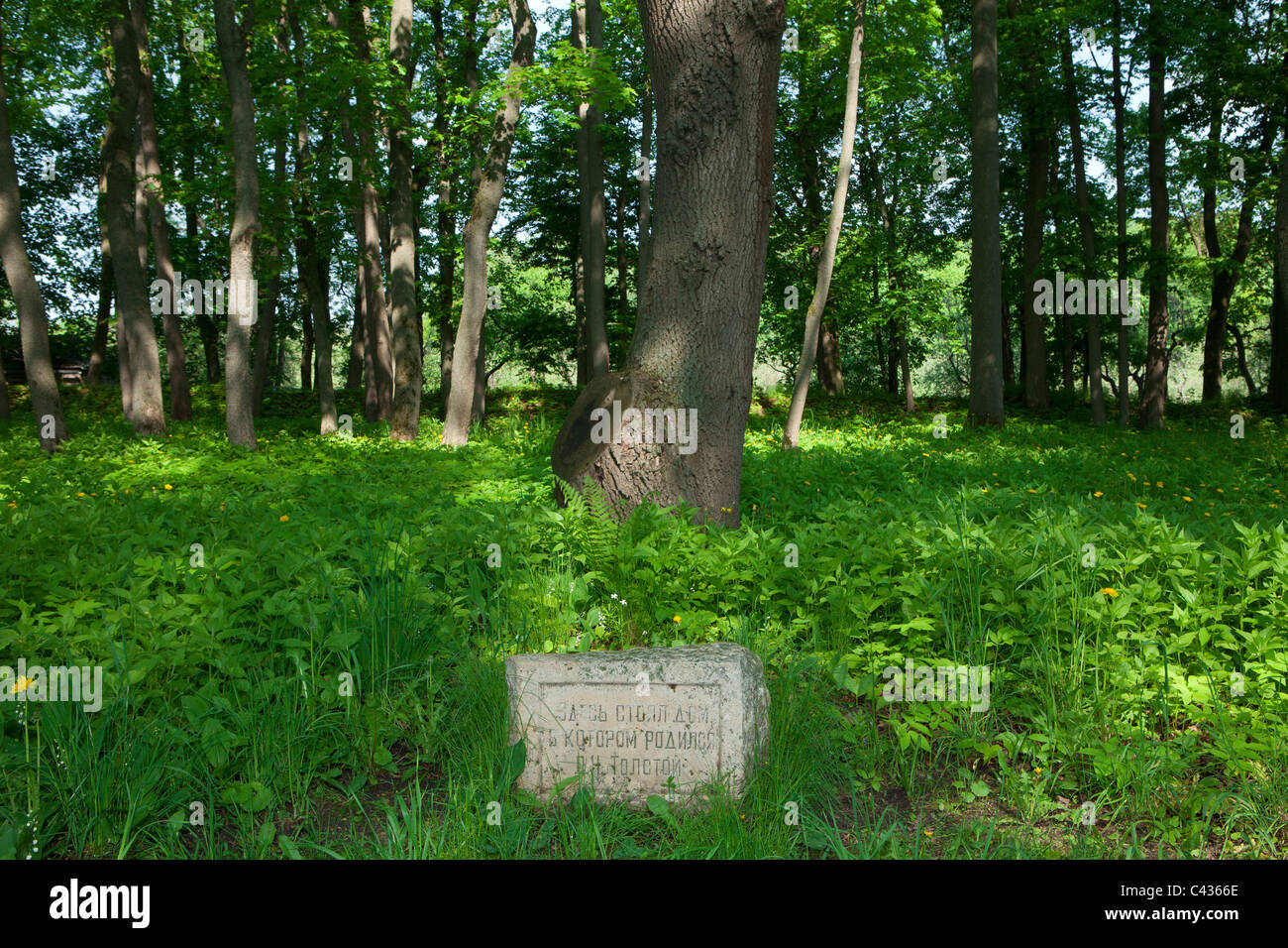 Stein, die Markierung genau an der Stelle wo der russische Schriftsteller Leo Tolstoy in Jasnaja Poljana, Russland geboren wurde Stockfoto