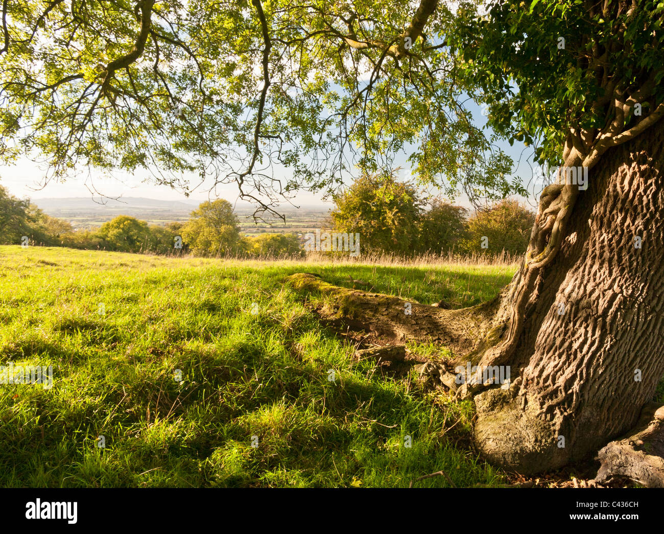 Blick auf die malerischen englischen Landschaft an einem sonnigen Tag Stockfoto
