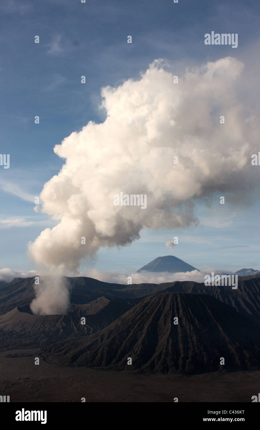 Bromo-Tengger-Semeru National Park im Jahr 2011 Stockfoto