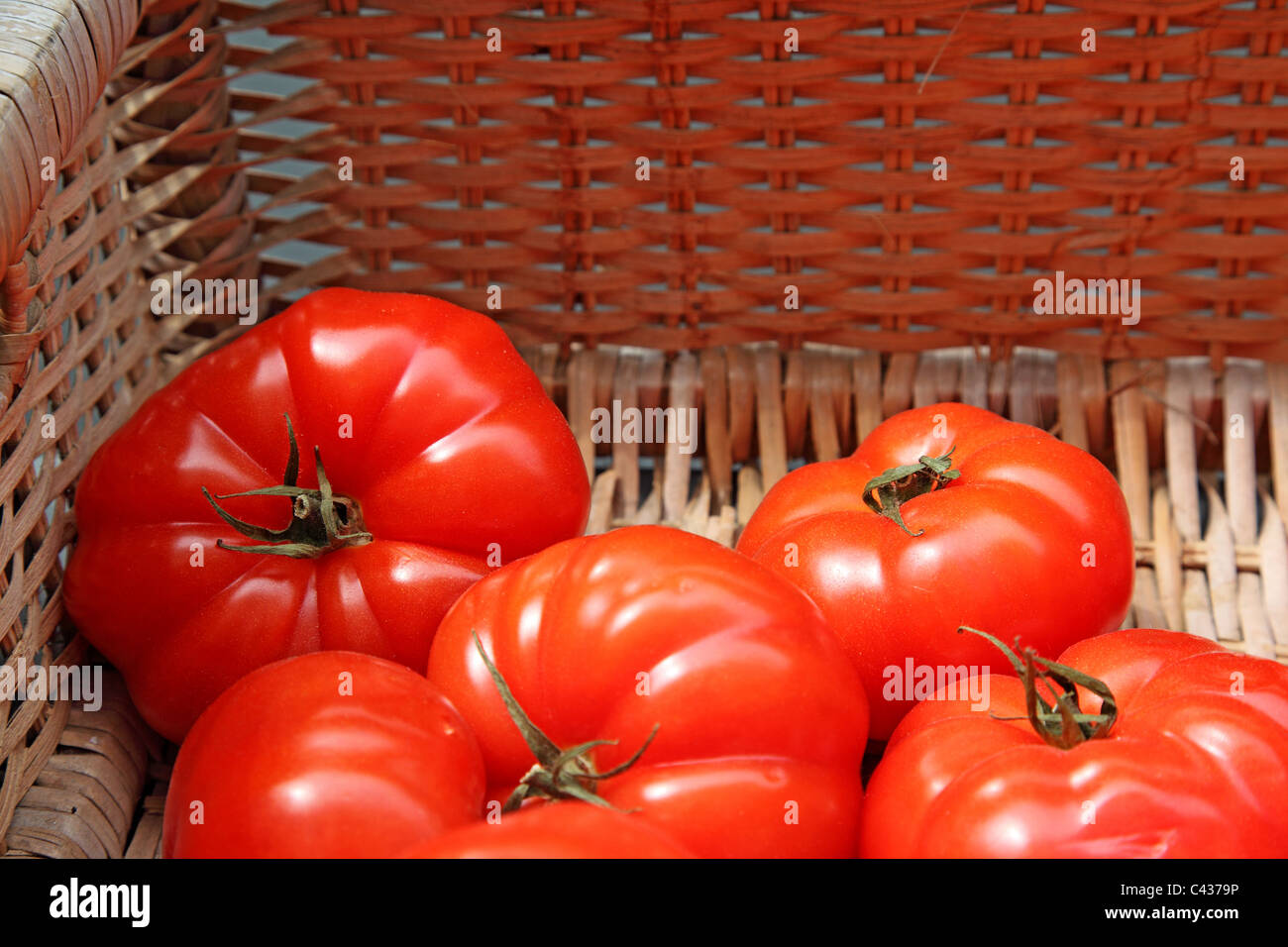 frische Bio rohen Tomaten Rebe Tomaten Salat Landwirtschaft Hintergrund Botanik heller Kirsche Kreis Nahaufnahme Closeup Hintergrundfarbe Stockfoto