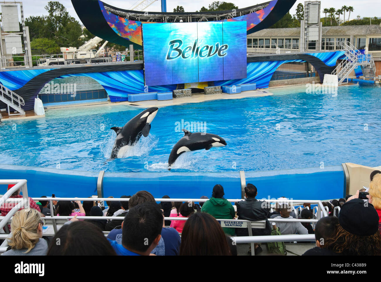 Killerwale führen in Shamu Stadium in SeaWorld. Stockfoto