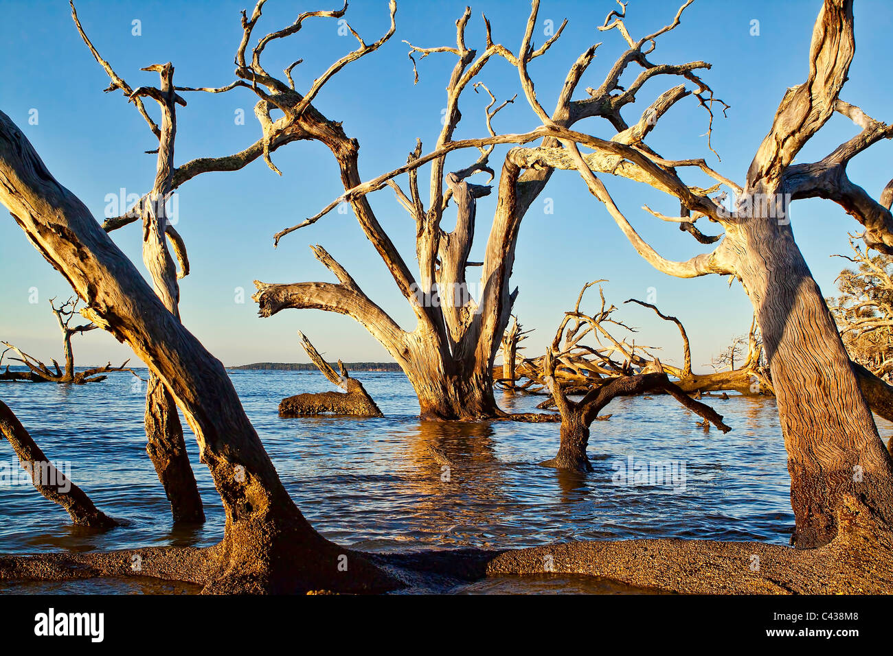 Boneyard Strand chriskirkphotography.net Stockfoto