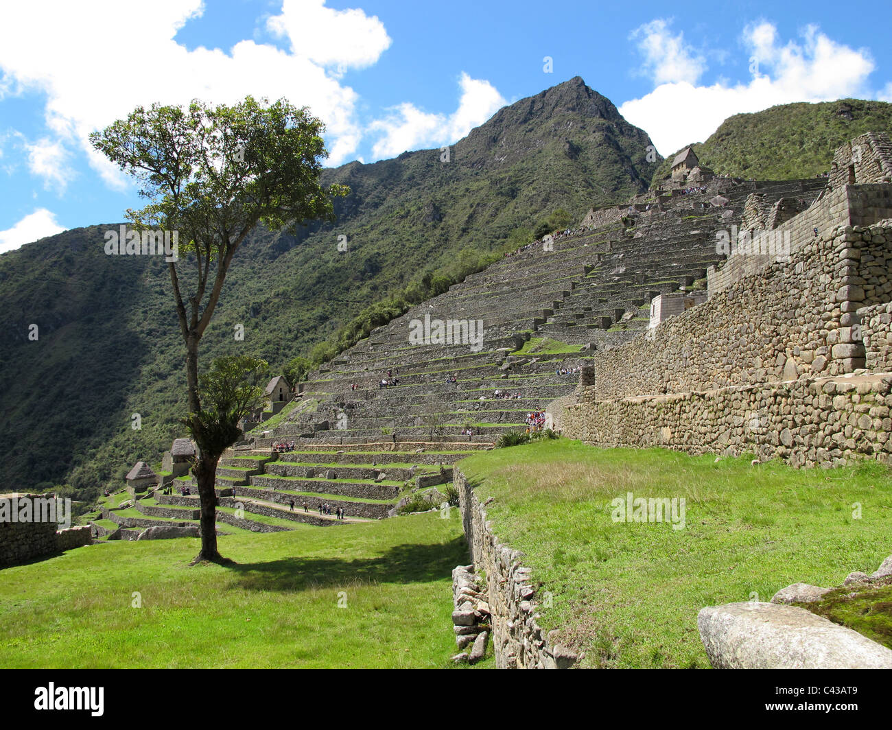 Terrassen mit Touristen gehen bis zu der Wächter Hütte, Machu Picchu, Peru Stockfoto