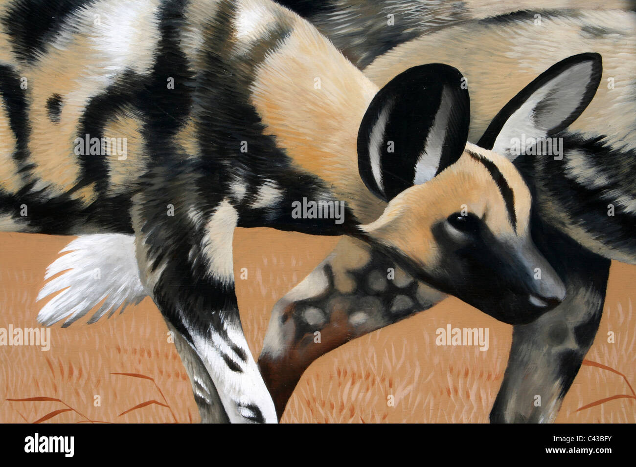 Malerei von An afrikanische Jagd Hund LYKAON pictus Stockfoto