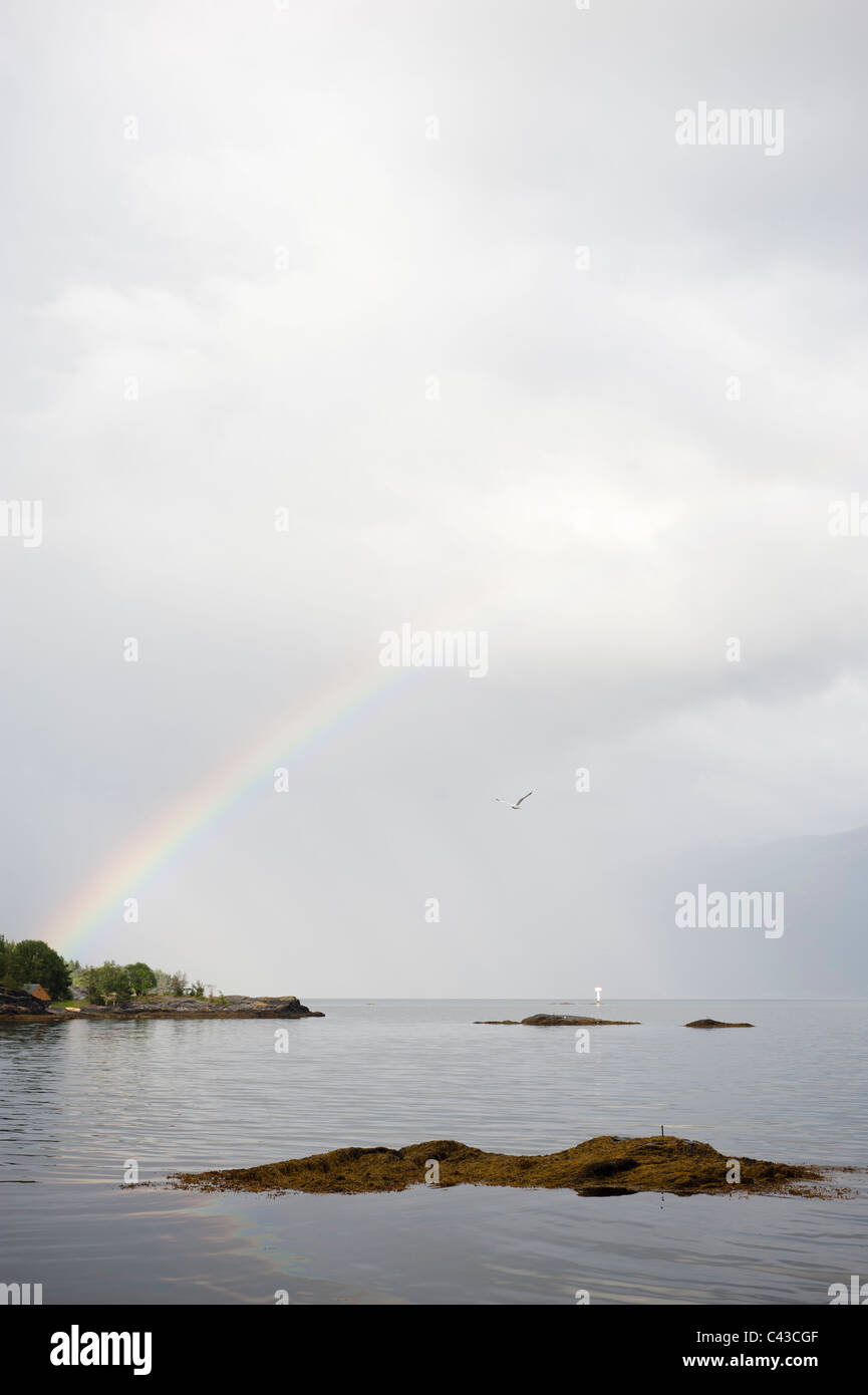 Regenbogen über Hardangerfjord Stockfoto
